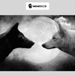 two-wolves-meme-thumbnail